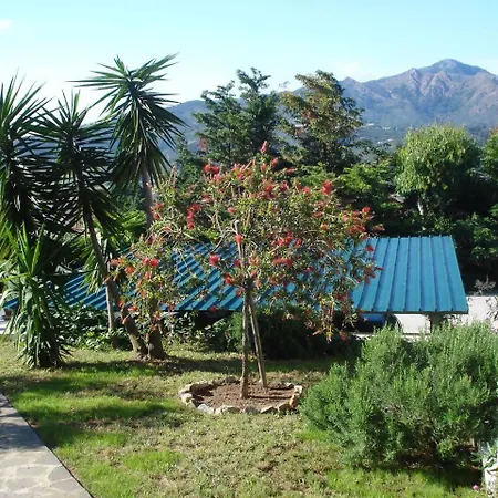 Villasoledad Appartamenti Per Vacanze Capoliveri  Room photo