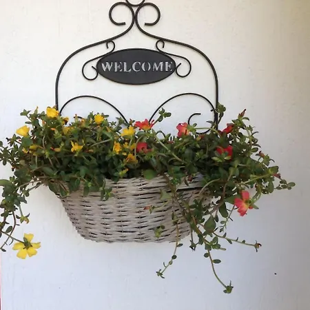 Villasoledad Appartamenti Per Vacanze Capoliveri  Room photo